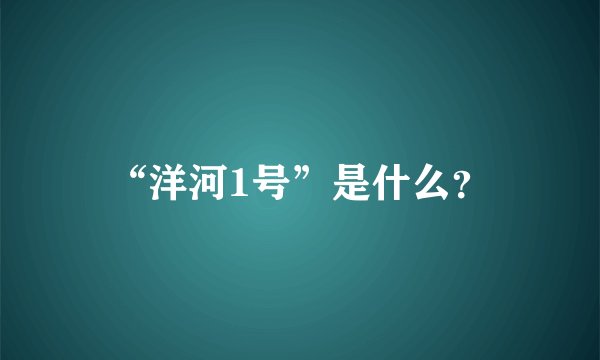 “洋河1号”是什么？