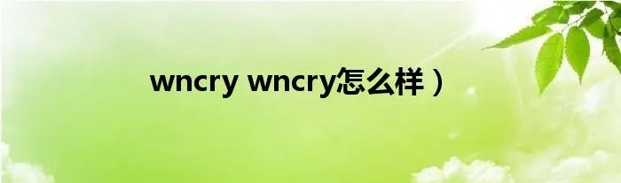 wncry wncry怎么样）