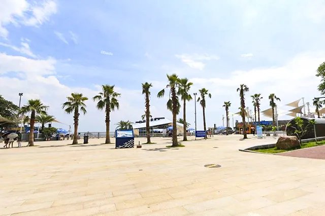 深圳十大城市名片 代表家乡深圳的名片是什么 展示鹏城魅力城市形象