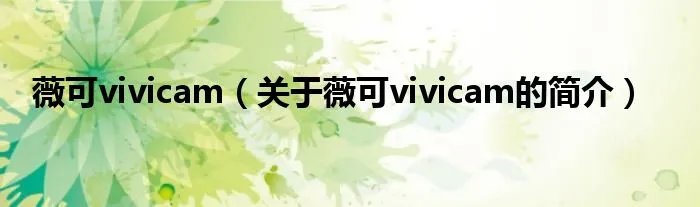 薇可vivicam（关于薇可vivicam的简介）