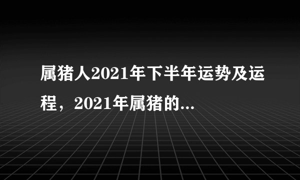 属猪人2021年下半年运势及运程,2021年属猪的全年运程