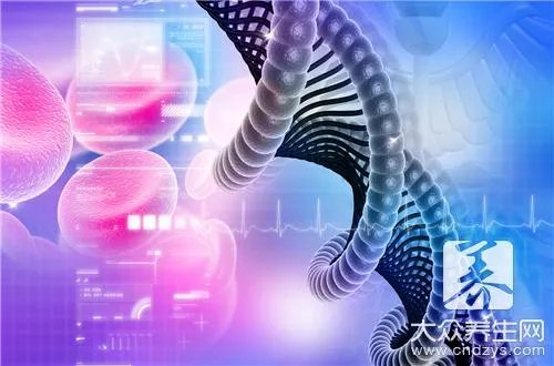 转基因食品的利与弊