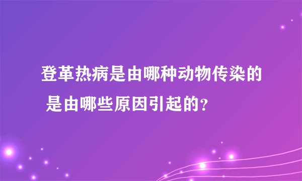 登革热病是由哪种动物传染的 是由哪些原因引起的？