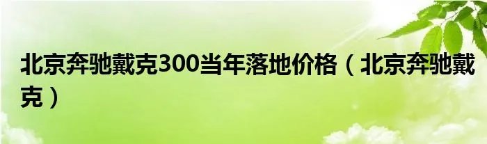 北京奔驰戴克300当年落地价格（北京奔驰戴克）