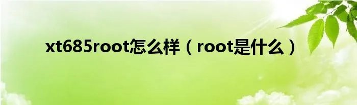 xt685root怎么样（root是什么）