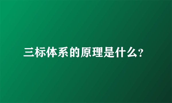 三标体系的原理是什么？