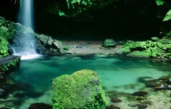 小石潭记的恐怖真相是什么 为什么说小石潭记是个鬼故事