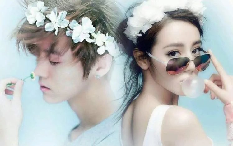 陆地夫妇吧来源?