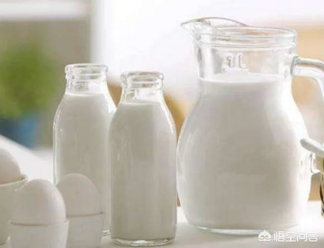 豆浆可不可以代替牛奶？你怎么看？