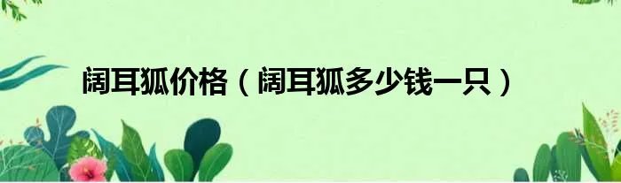 阔耳狐价格（阔耳狐多少钱一只）
