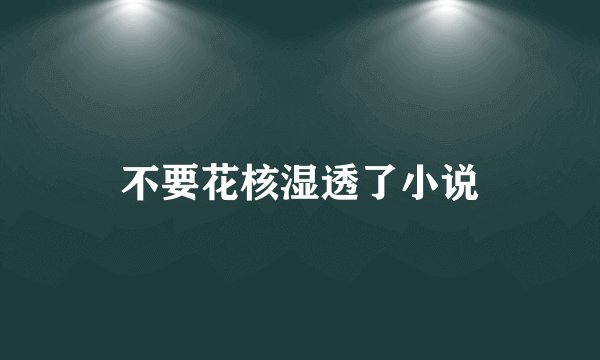 不要花核湿透了小说