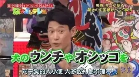 矢野浩二致歉为哪般?当初离开天天向上原因揭秘