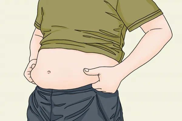 左旋肉碱的作用与功效