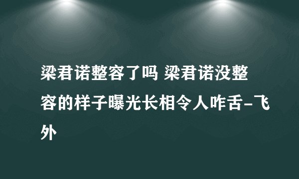 梁君诺整容了吗 梁君诺没整容的样子曝光长相令人咋舌-飞外