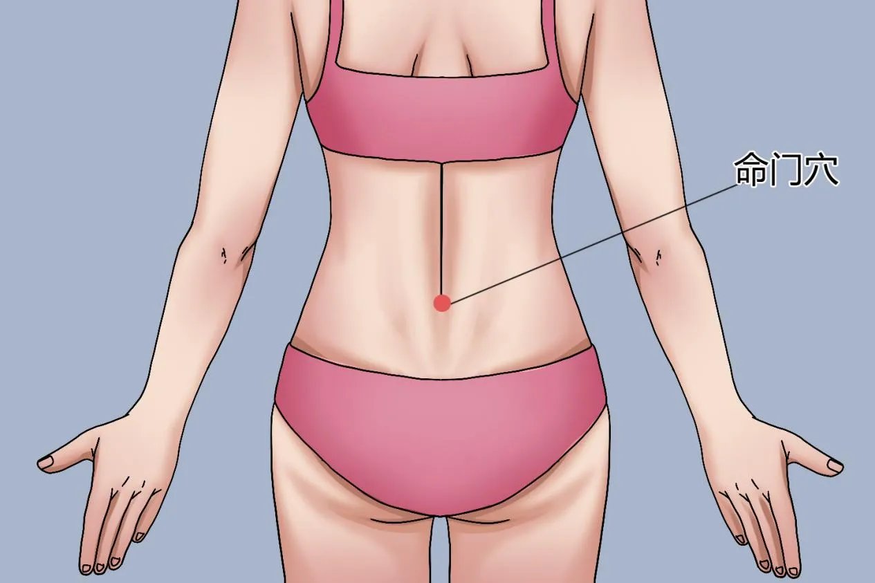 艾灸的部位图片