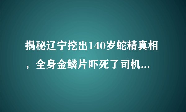 揭秘辽宁挖出140岁蛇精真相，全身金鳞片吓死了司机(是谣言)—飞外