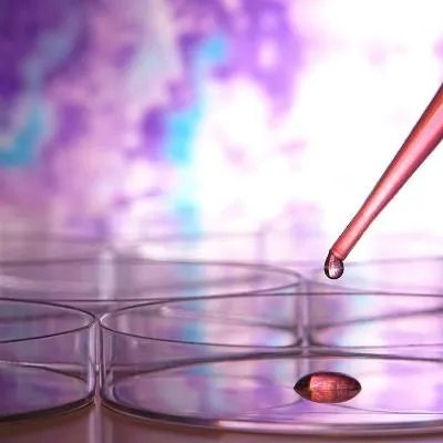 人的血液呈什么性