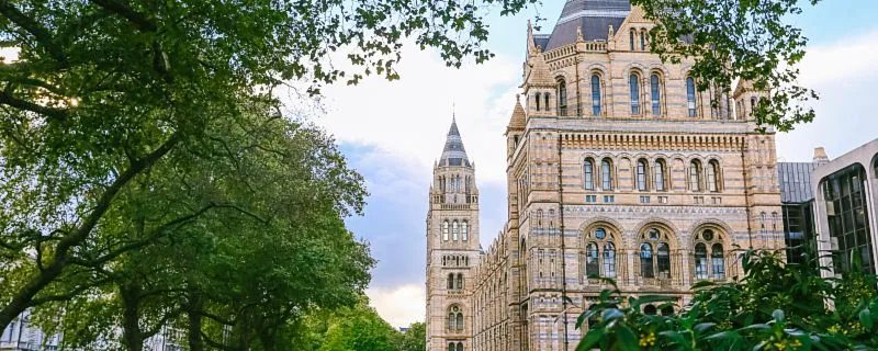 伦敦和中国时差几个小时