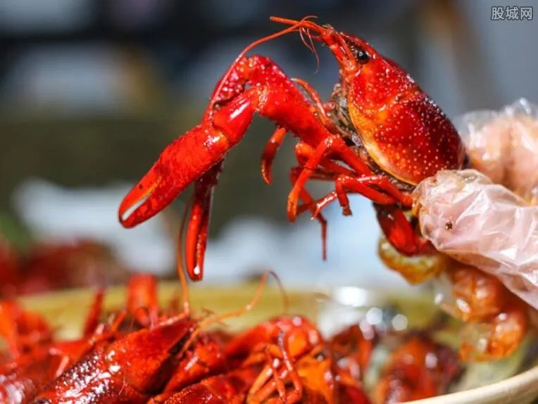 400斤龙虾走红毯 2017小龙虾价格行情