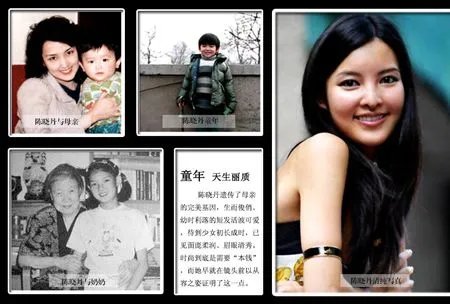 【图】陈云孙女陈晓丹母亲资料 美女母亲何永涛光彩照人