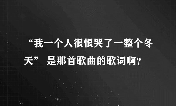 “我一个人很恨哭了一整个冬天” 是那首歌曲的歌词啊？