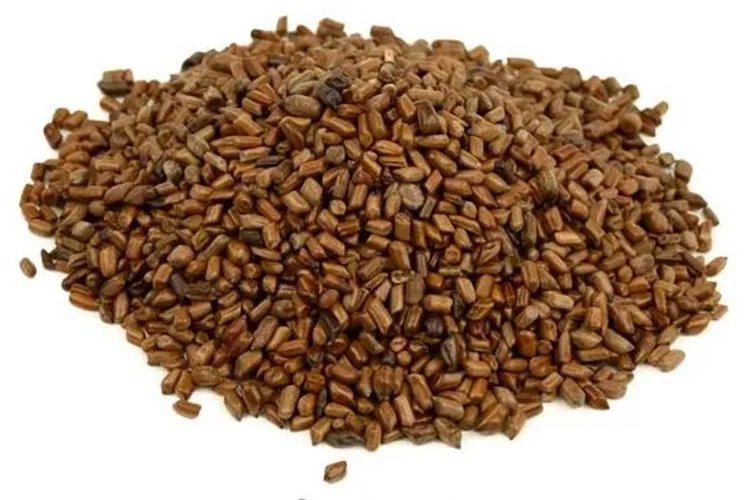 润肠通便的中草药植物图片