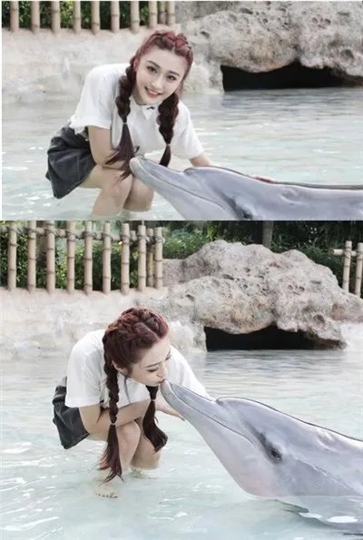 歌手陈冰吻海豚显童心 呼吁大家保护海洋生物