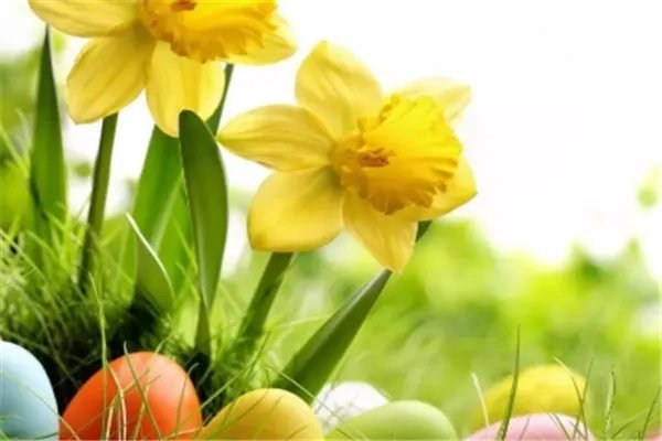 每天有7.8亿人进入朋友圈，你每天会进入朋友圈几次？