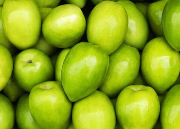 青枣子的功效与作用