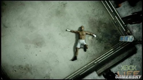 《拳击之夜5：冠军（Fight Night Champion）》游戏介绍与点评