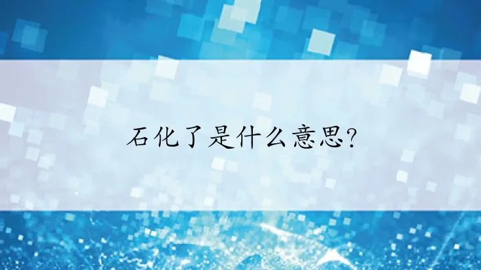 石化了是什么意思？