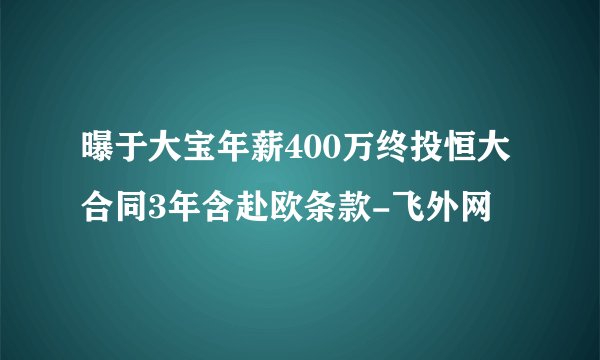 曝于大宝年薪400万终投恒大 合同3年含赴欧条款-飞外网
