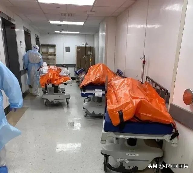 全球疫情继续恶化,美国放弃治疗了,未来我国将如何应对?