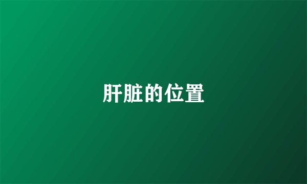 肝脏的位置