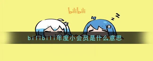 bilibili年度小会员是什么意思