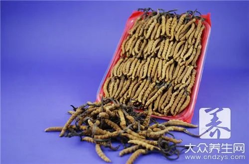 有白蚁怎么办？白蚁的防治方法