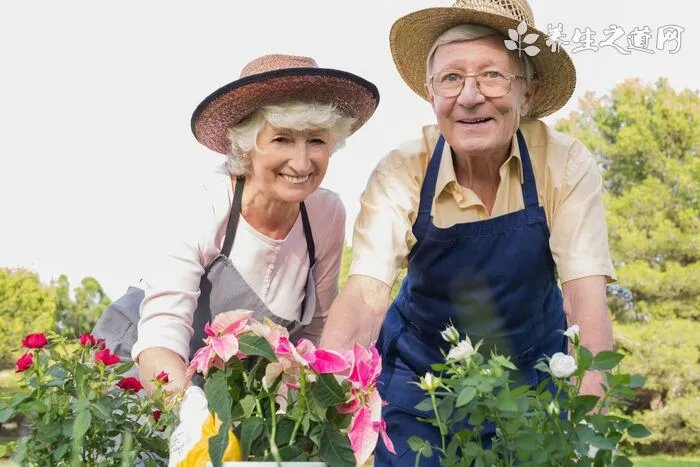 科学月子餐该怎么吃?营养师整理的月子食谱