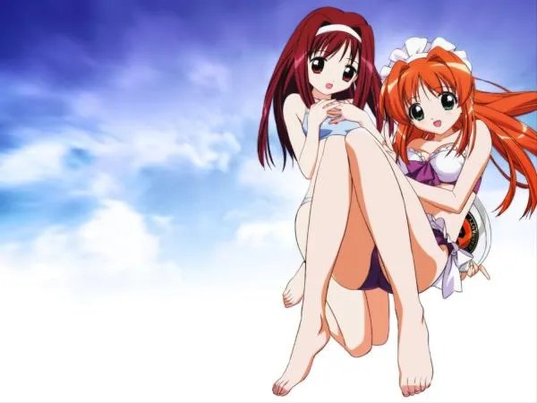 这丑陋而美丽的世界的人物介绍