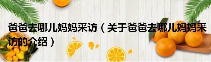 爸爸去哪儿妈妈采访（关于爸爸去哪儿妈妈采访的介绍）