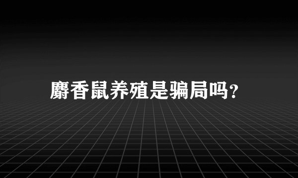 麝香鼠养殖是骗局吗？