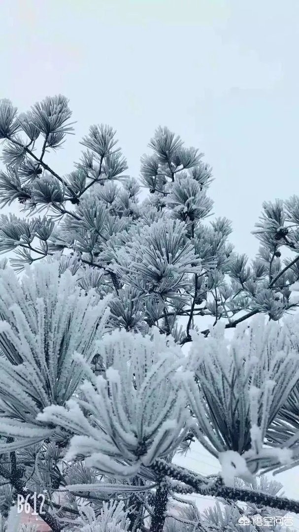 最冷的冬天是怎样的呢？