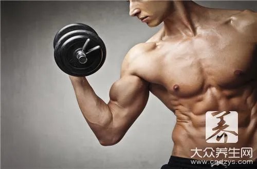 哑铃健身计划
