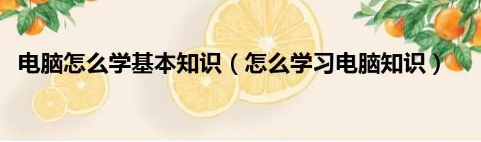 电脑怎么学基本知识（怎么学习电脑知识）