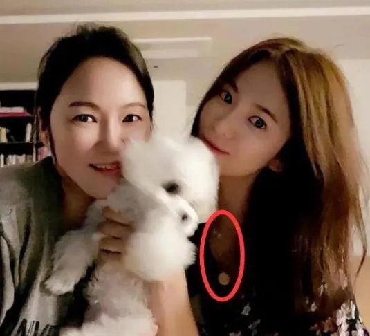 网友偶遇玄彬宋慧乔散步遛狗：这网友真是分析高手