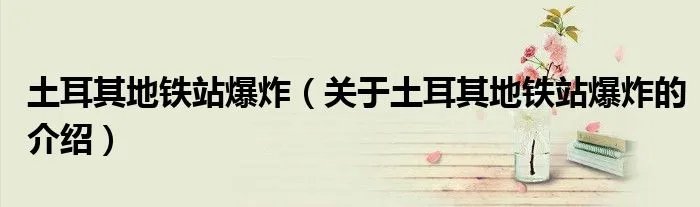 土耳其地铁站爆炸（关于土耳其地铁站爆炸的介绍）