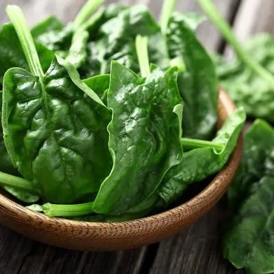 夏天喝什么饮料最好