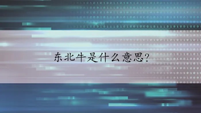 东北牛是什么意思？