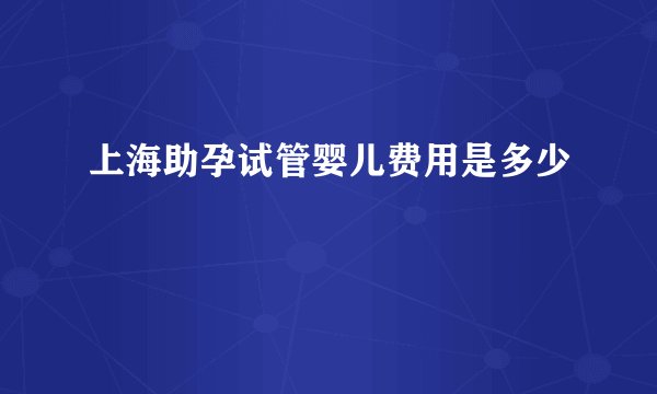 上海助孕试管婴儿费用是多少
