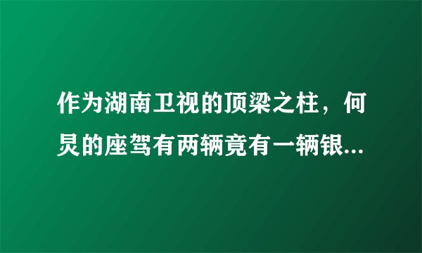 作为湖南卫视的顶梁之柱，何炅的座驾有两辆竟有一辆银灰色法比亚