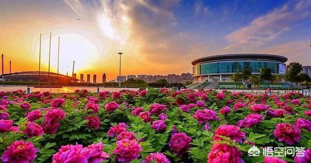 三天时间去哪旅游比较好？